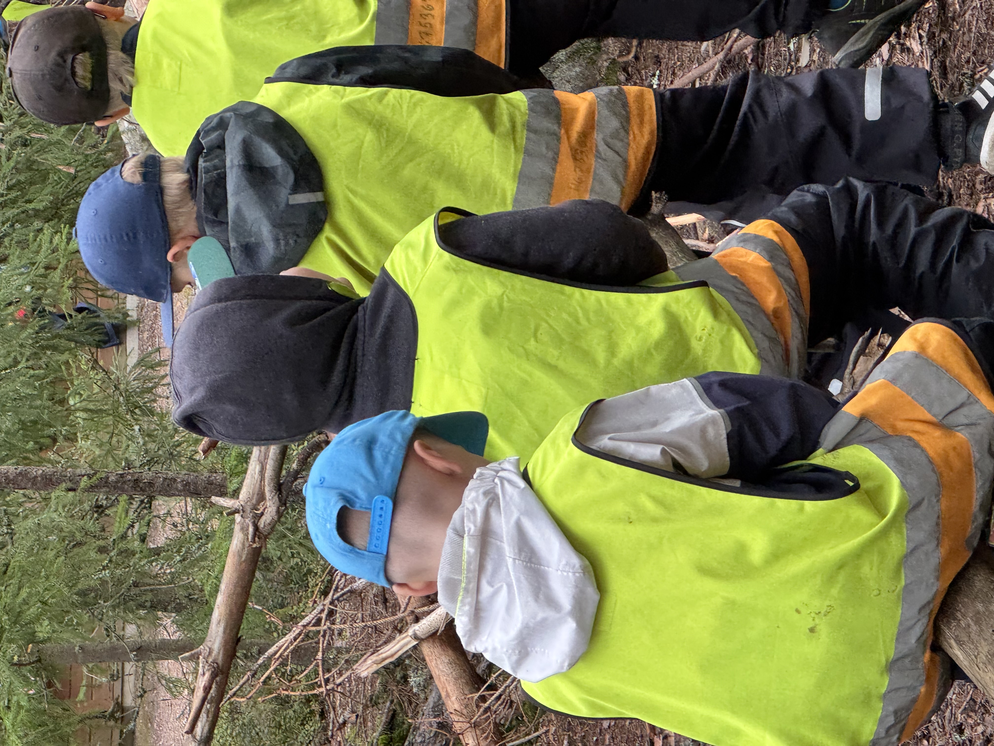 Creative North: Understanding Finnish Education – A Job Shadowing Journey course's cover image